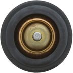 Termostat cieczy chłodzącej - MOTORAD 973-105K