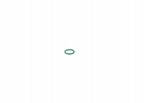 O-ring - BOSCH 1928300719 — zdjęcie 3