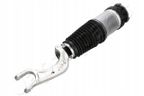 Amortyzator tesla p. model s/x 10.2016-02.2021 le/pr… - JAPANPARTS MM-AS197