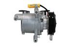 Kompresor klimatyzacji psa - BV PSH 090.225.048.000