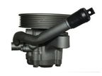 Pompa hydrauliczna przekładni kierowniczej - SPIDAN 0.054434