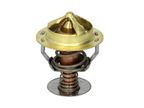 Termostat cieczy chłodzącej - THERMOTEC D2CU001TT