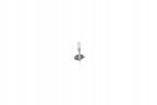 Żarówka, Pure Light - BOSCH 1 987 301 005 — zdjęcie 2