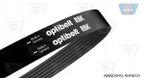 Pasek wielorowkowy - OPTIBELT 8PK1215