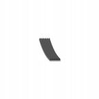 Pasek wielorowkowy 6pk1725 - SWAG 30928971