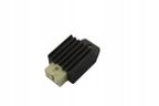 Regulator napięcia - TOURMAX RGU-245