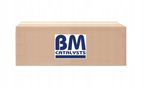 Filtr cząstek stałych - BM CATALYSTS BM31032H