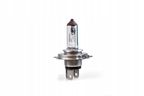 Zarowka 12v hs1 35/35w px43t - M-TECH MTEZ75 — zdjęcie 2