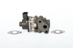 Zawór egr - BorgWarner WA711024D