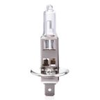 Żarówka halogenowa H1 12V 55W filtr UV (E8) - AMIO AMI01484 — zdjęcie 2