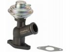 Zawór egr - BorgWarner WA710922D