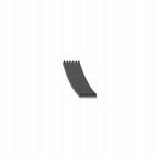 Pasek wielorowkowy 6pk975 - SWAG 30928908