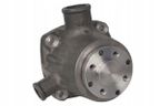 Pompa cieczy chłodzącej - THERMOTEC WP-FE001