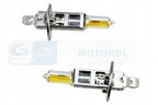Classic gold 12v 55w p14,5s h1 twin box - BOSMA LED8931 — zdjęcie 2