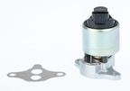 Zawór egr - BorgWarner WA711033D
