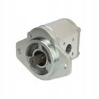 Hydrauliczna pompa zębata - BOSCH 0 510 725 058