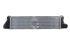 Chłodnica powietrza dolotowego - THERMOTEC DAB023TT
