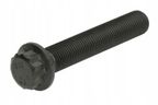 Śruba stopki korbowodu - OE 01 0311 936000