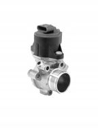 Zawór egr - BorgWarner WA710753D