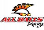 Inne części mechaniczne - ALL BALLS 25-2033