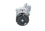 Kompresor klimatyzacji opel - BV PSH 090.135.021.040