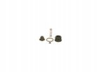 Zestaw naprawczy pompy Common Rail - BOSCH F 00N 201 451 — zdjęcie 2