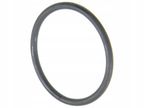Oring skrzyni biegów - EURORICAMBI 95532569