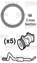 Zestaw Uszczelek Renault (X20) - VALEO 509555