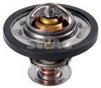 Termostat ford - SWAG 50923981