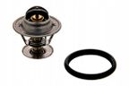 Termostat ford - SWAG 50918979