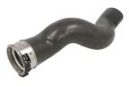 Przewód powietrza doładowujacego - THERMOTEC DC1516TT