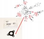 Uszczelka plaska - BOSCH BOSF01M100055