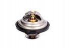 Termostat cieczy chłodzącej - THERMOTEC D2IV004TT