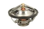 Termostat cieczy chłodzącej - THERMOTEC D2CA009TT