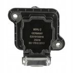 Cewka zapłonowa - BORGWARNER ZS 016