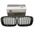 Atrapa chłodnicy grill/nerki l+p - SKV ESEN 66SKV066