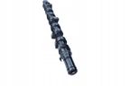 Wałek rozrządu renault clio 01- - FRECCIA CM05-2148 — zdjęcie 3