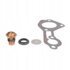 Termostat - QUICKSILVER 803061T1