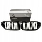 Grill bmw podwójna listwa, kolor carbon, bmw 5 g30 - SKV ESEN 66SKV197