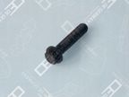 Śruba stopki korbowodu - OE 01 0311 366000