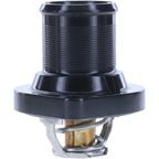 Termostat cieczy chłodzącej - MOTORAD 438-89K