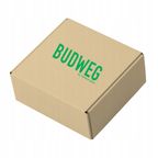 Zestaw naprawczy zacisku hamulcowego - BUDWEG BUD2090358 — zdjęcie 2