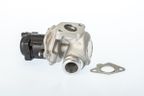 Zawór egr - BorgWarner WA711021D