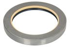 Uszczelniacz piasty - BTA B06-2183