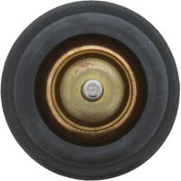 Termostat cieczy chłodzącej - MOTORAD 973-105K