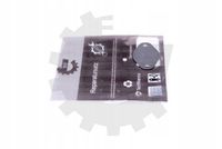 Zestaw naprawczy zaworu EGR - SKV ESEN 14SKV547