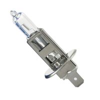Zar.h1 24v/70w p14,5s - BOSMA LED0324