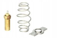 Termostat cieczy chłodzącej - THERMOTEC D2IV006TT