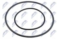 Zestaw naprawczy pompy vacuum - NTY PVP-BM-001