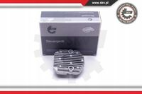 Moduł LED DRL - SKV ESEN 59SKV081